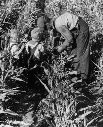 California Migrant Workers