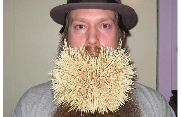 david cross beard. toothpicks in his eard.