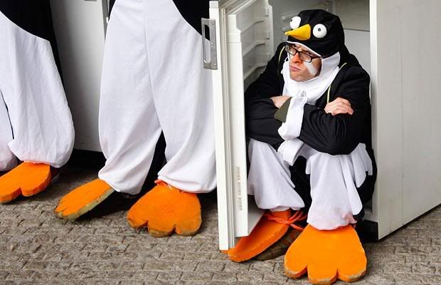 penguin jockey costume photo
