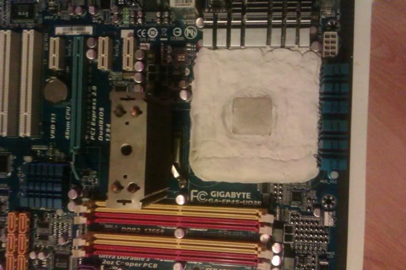 IMAG0064.jpg