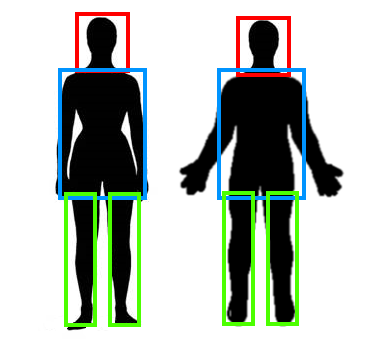 maleandfemalehitboxes.png