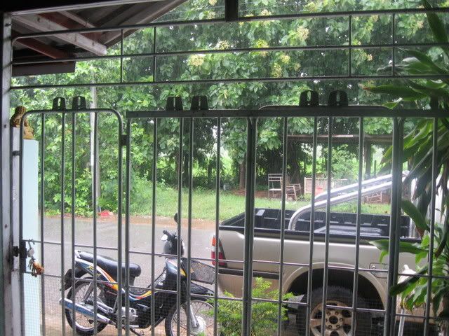 IMG_0470.jpg?t=1223299203