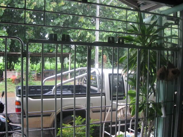 IMG_0471.jpg?t=1223299031