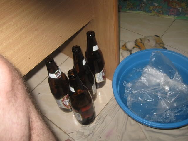 IMG_0479-1.jpg?t=1223299290