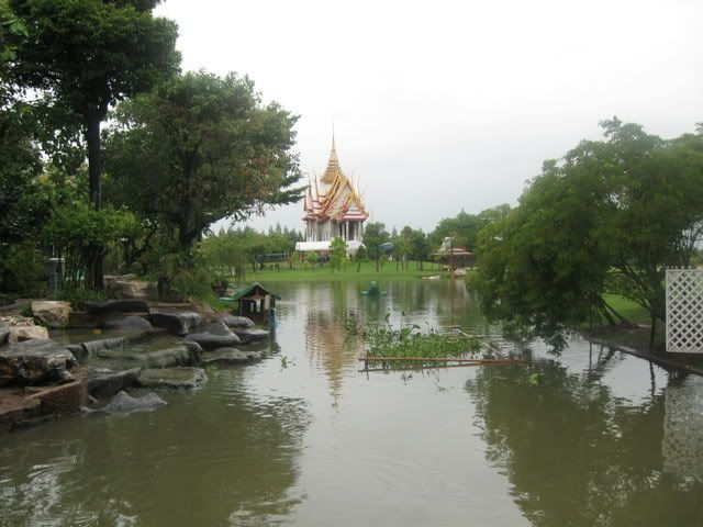 IMG_0486.jpg?t=1223038115