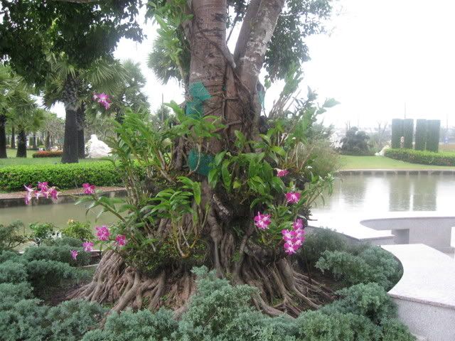 IMG_0519.jpg?t=1223038175