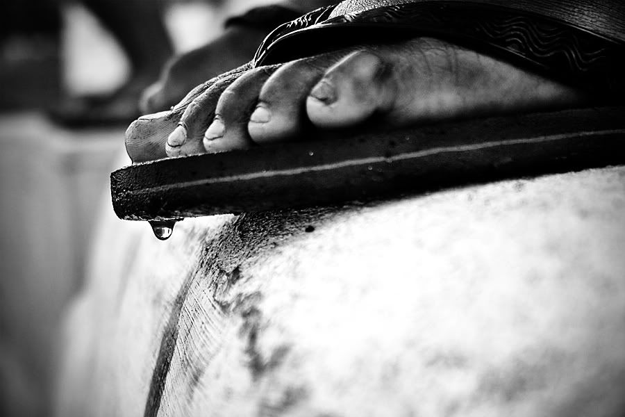 Drop of Life by josepaolo