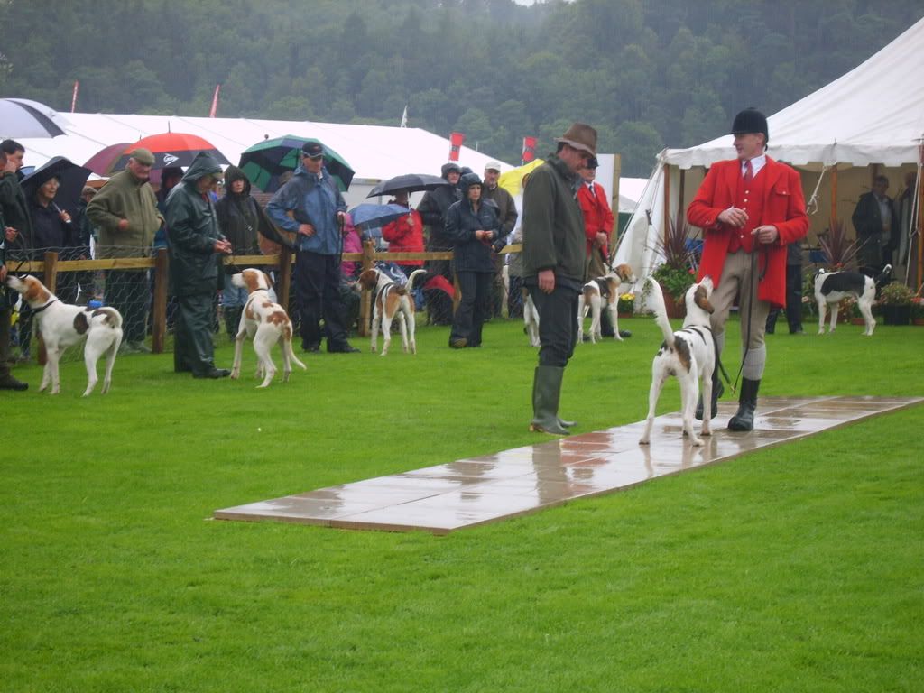 cumbria08021.jpg