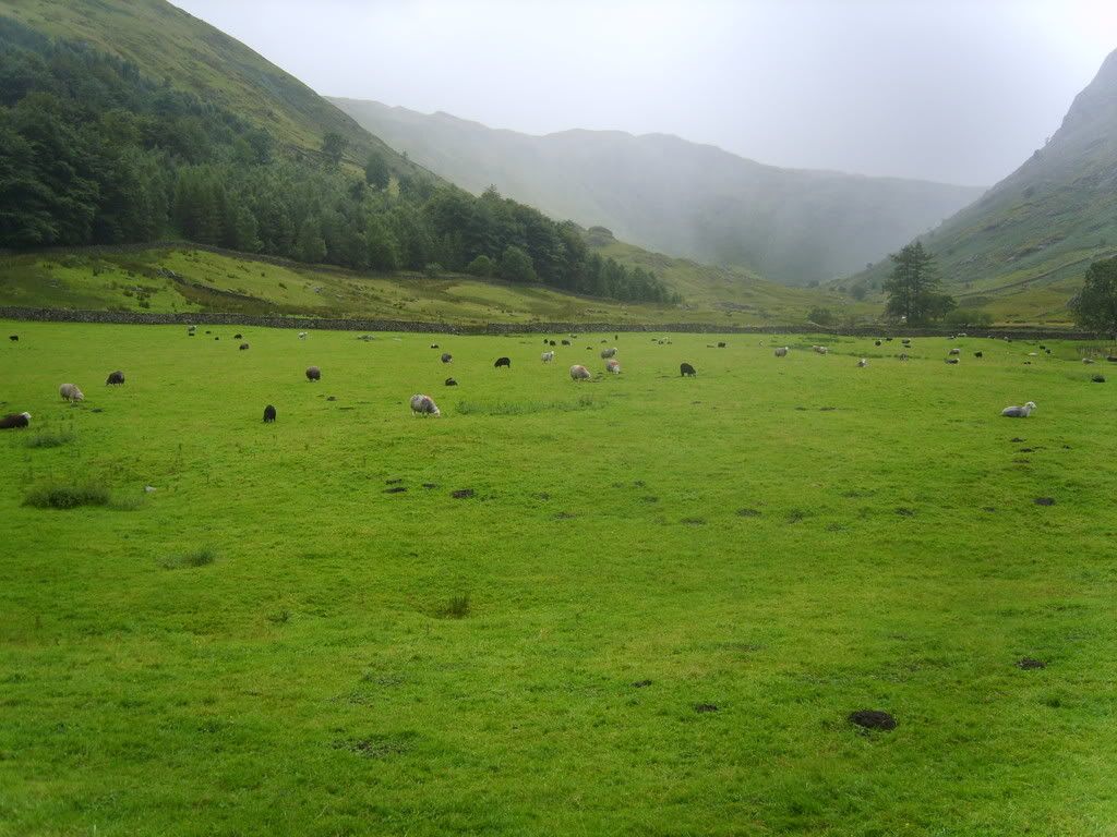 cumbria08046.jpg