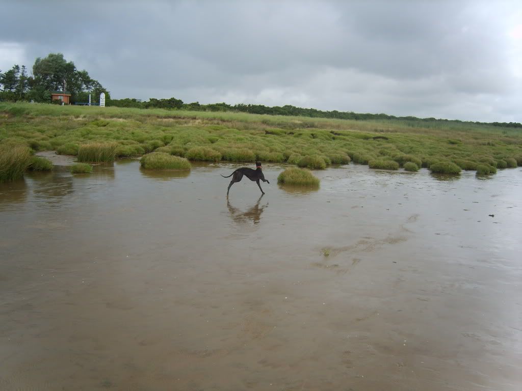 cumbria08063.jpg