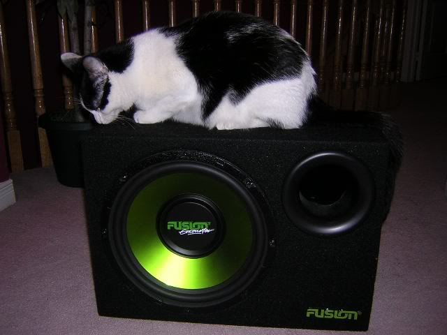 http://i120.photobucket.com/albums/o172/chadillac_05/dsfhb.jpg