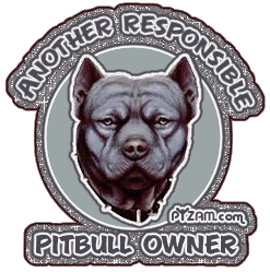 pitbull Pictures, Images and Photos