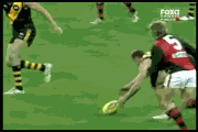 HIRDR9small.gif