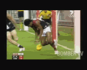 daveyavi2.gif