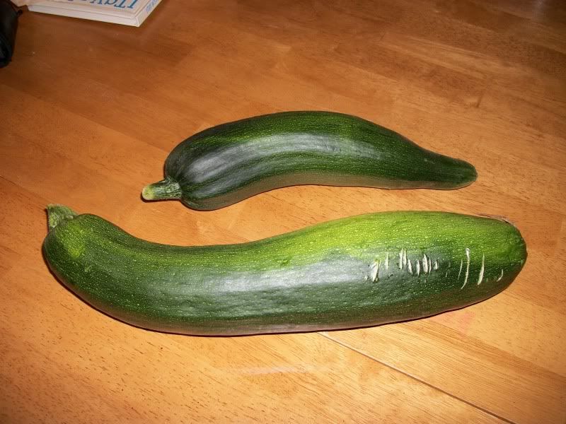 zucchini 2