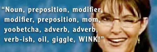 Palin Wink