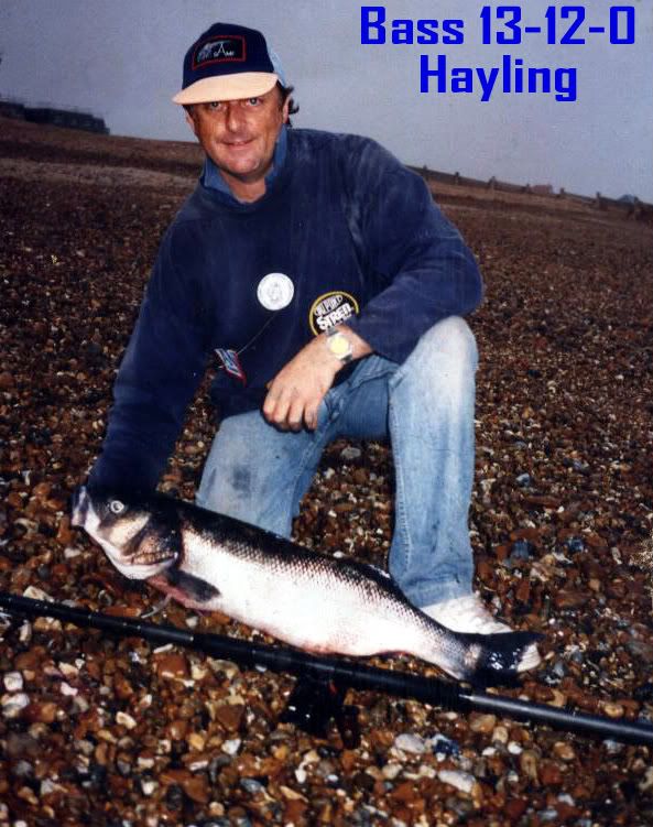 Big bass hayling island? World Sea Fishing Forums