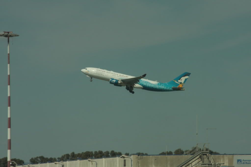 IMG_1723.jpg