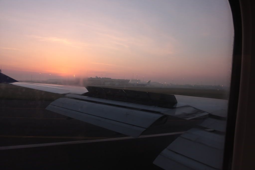 IMG_2816.jpg