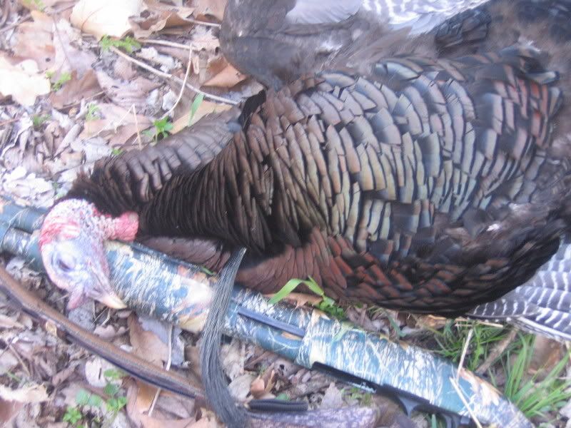 IMG_1724.jpg?t=1208689633