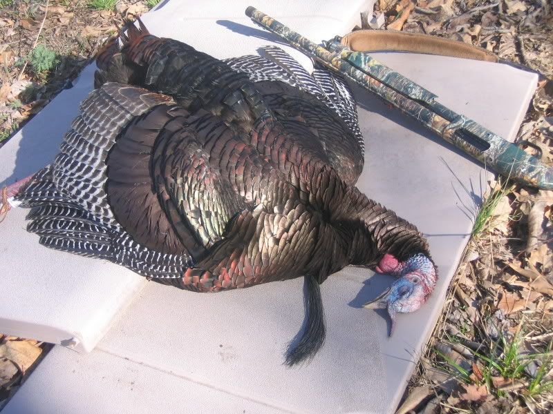 IMG_1725.jpg?t=1208473060