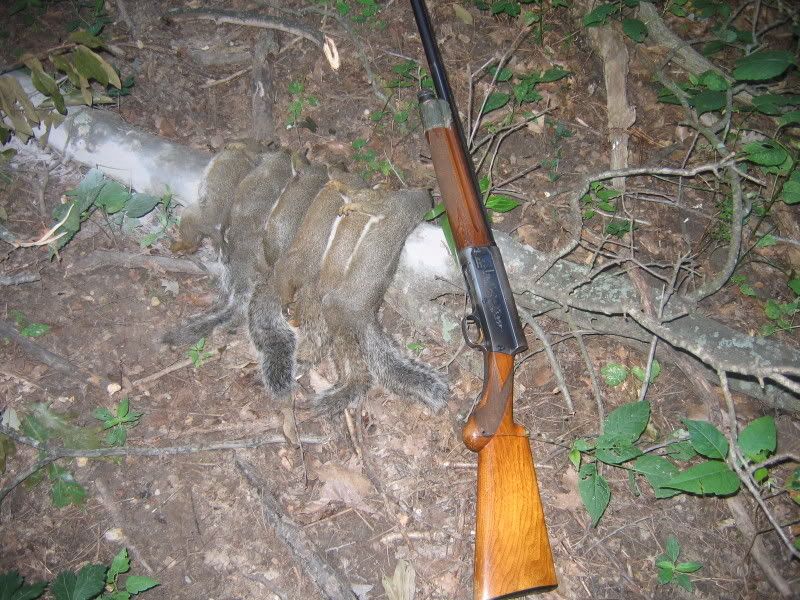 IMG_1757.jpg?t=1220867515