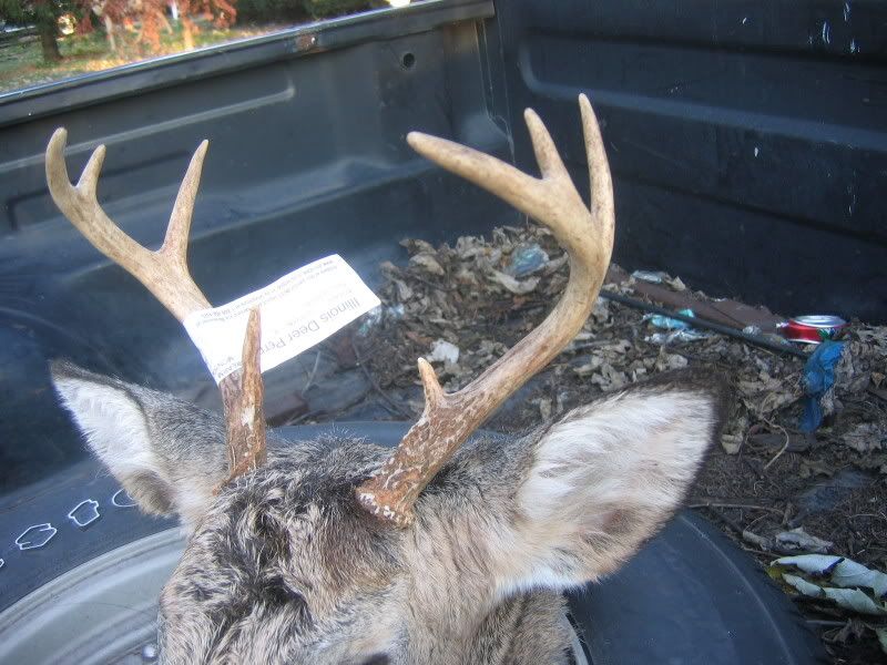 IMG_1819.jpg?t=1227739817