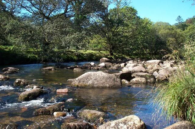 dartmeet03.jpg