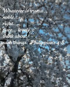 philippians 4:8
