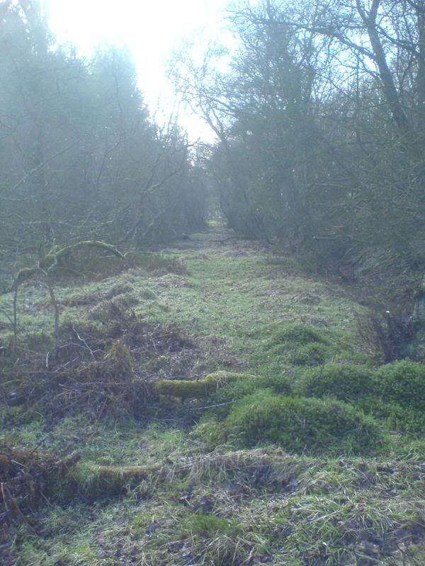 DSC00006-1.jpg