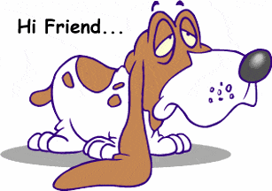 basset hound friend