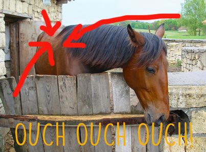 photo ouch.jpg