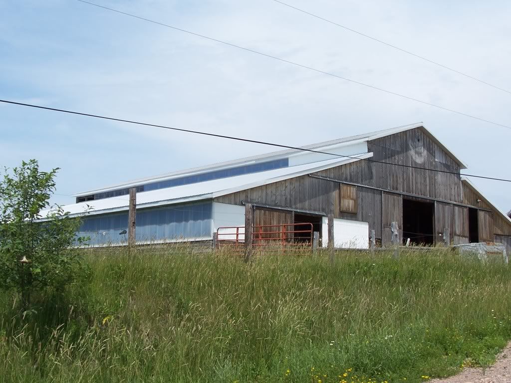 Gonna build a barn - Homesteading Questions