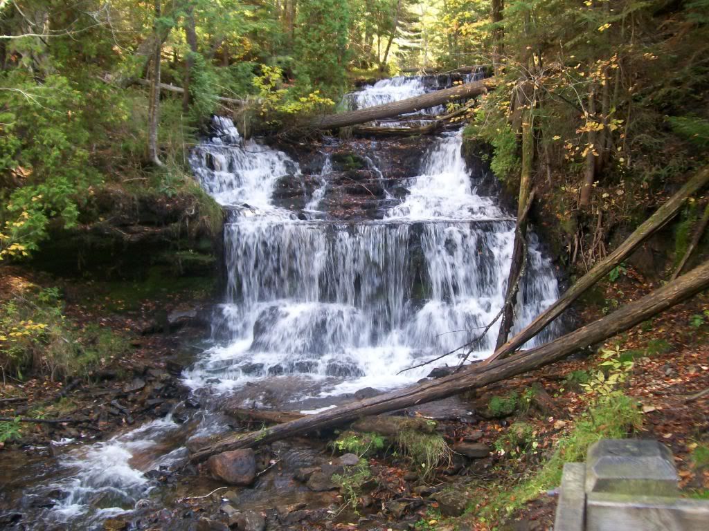 Please, someone send an new pic of the day thread! - Homesteading Questions