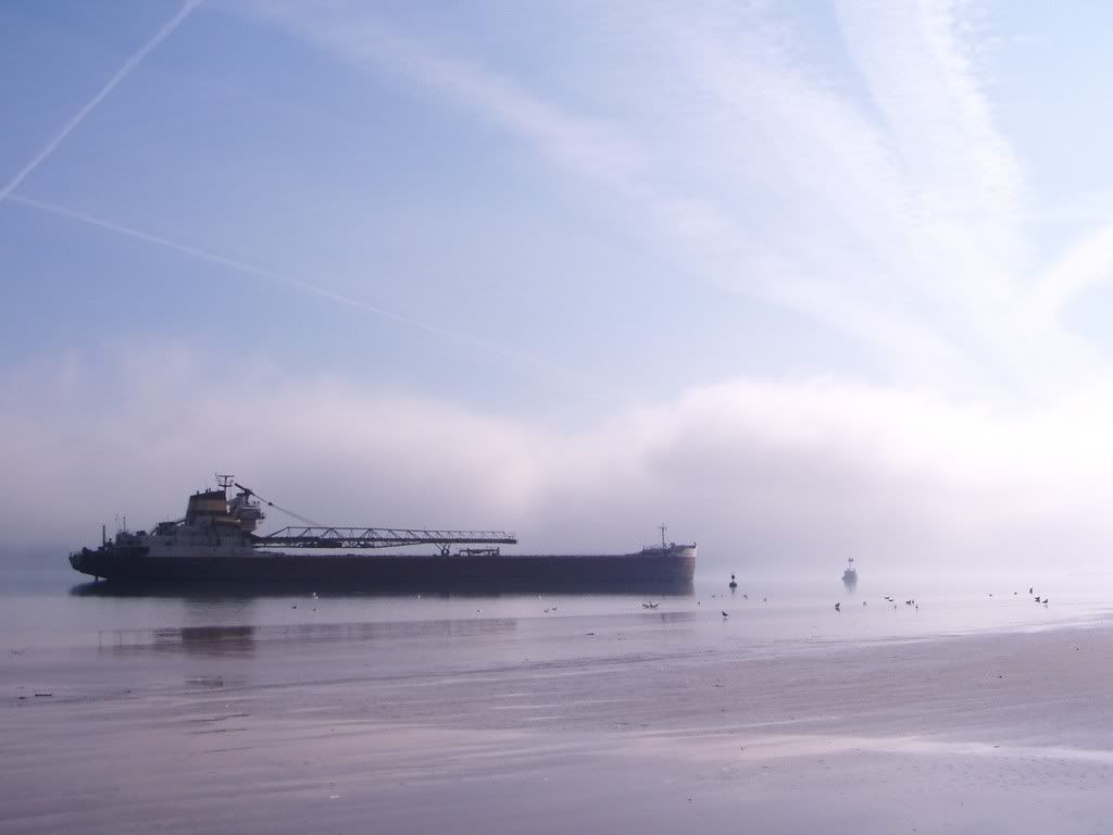 Please, someone send an new pic of the day thread! - Homesteading Questions