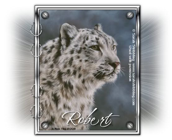 Snow Leopard - Sarah Stribbling art