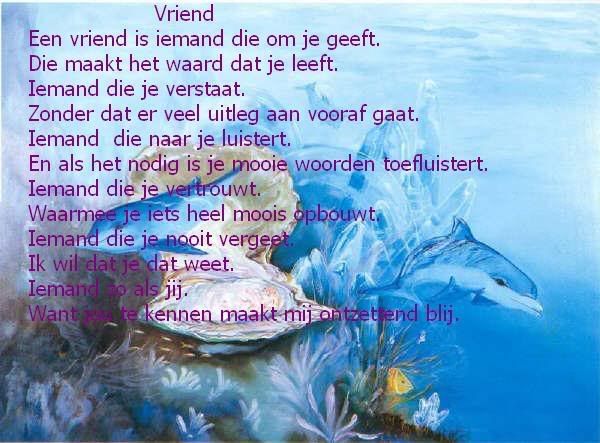 vriend.jpg vriendschap picture by gewoonlorie
