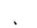 IPB Image