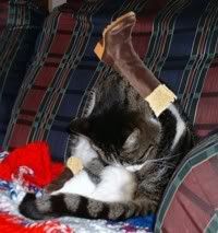 Puss in Boots