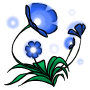 glowingflowers_blue.gif glowing blue flower image by raven_13_13_31