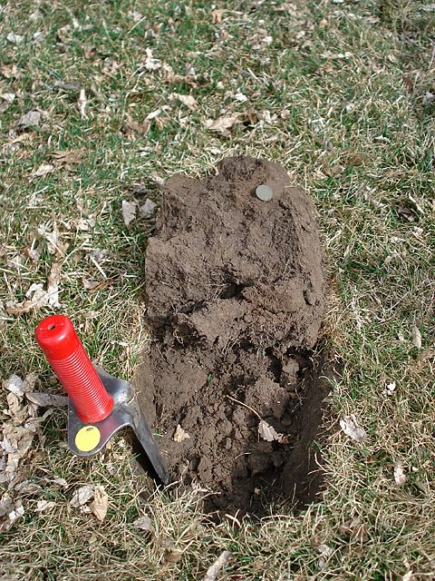 IndianDig-1.jpg