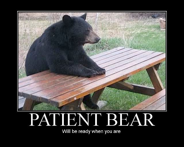 patient_bear-3.jpg