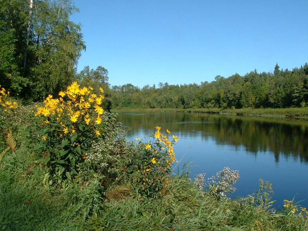 Bearhunt201009-0618.jpg