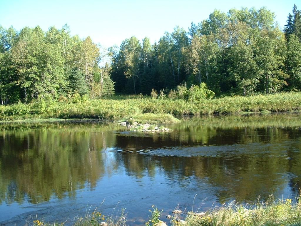 Bearhunt201009-0621.jpg