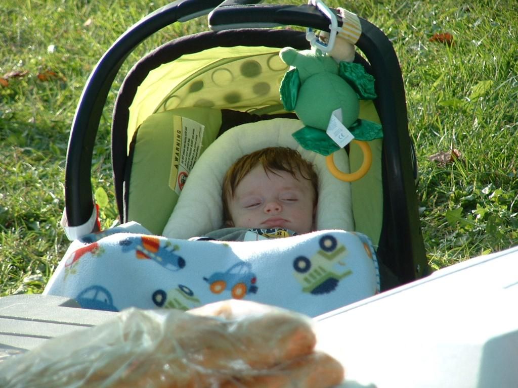 Bearhunt201009-0670.jpg