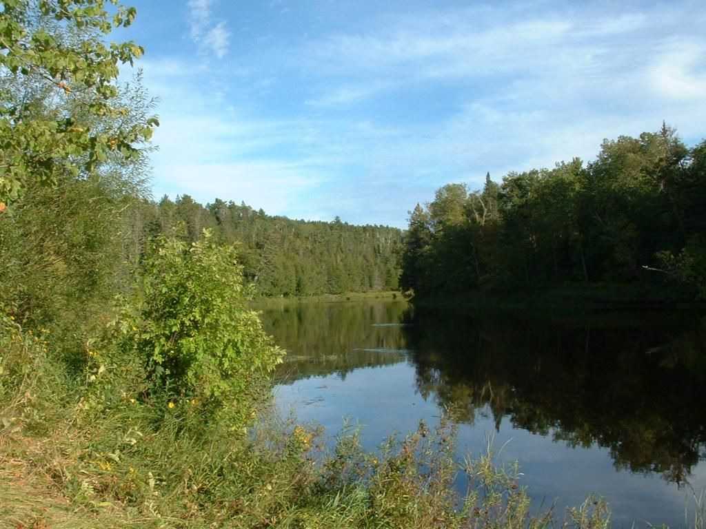 Bearhunt201009-0672.jpg