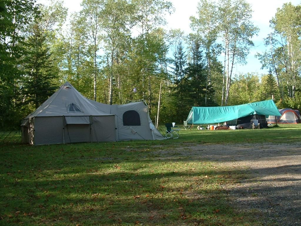 Bearhunt201009-0675.jpg