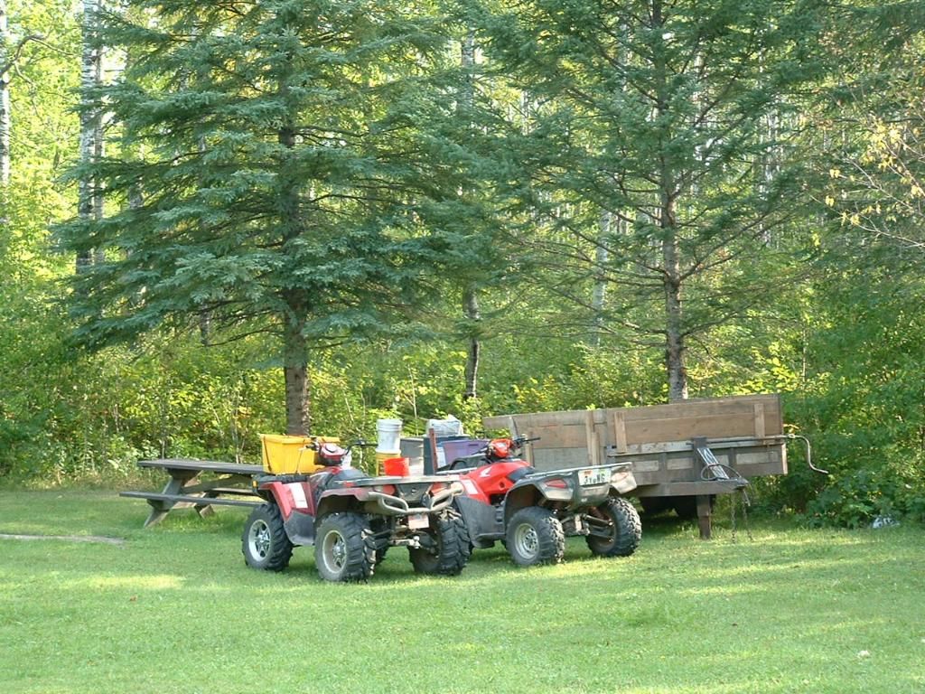 Bearhunt201009-0682.jpg
