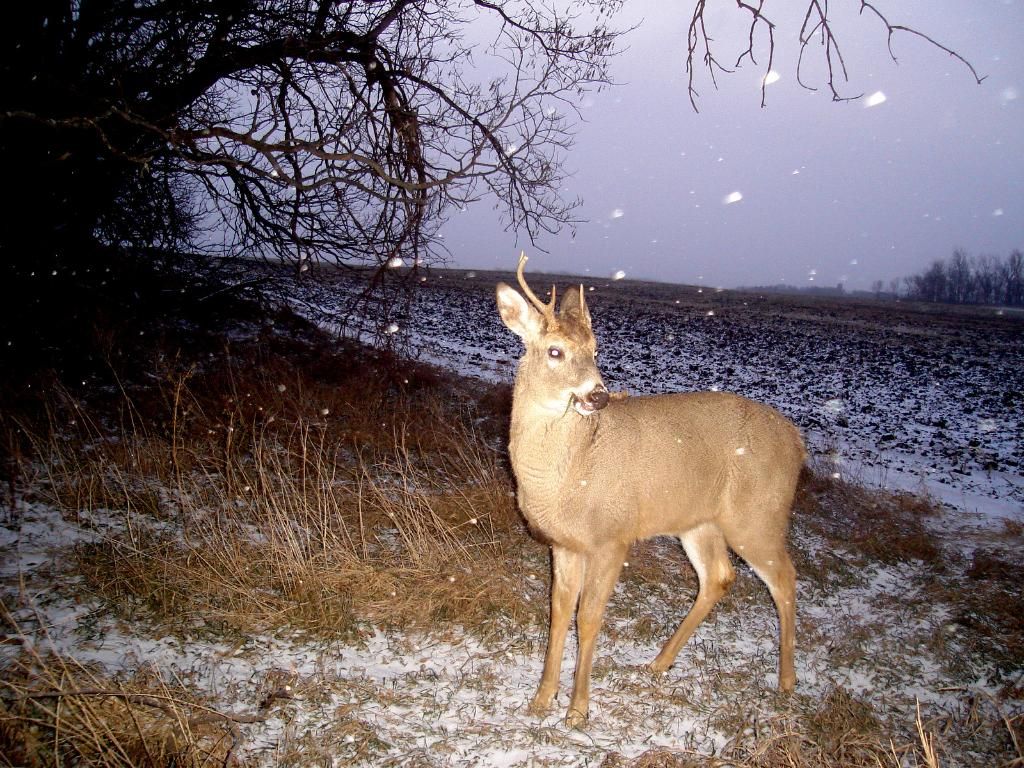 Beverlyseast12-18-201011.jpg