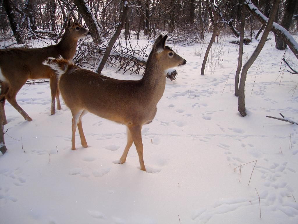 Beverlyseast12-18-201021.jpg